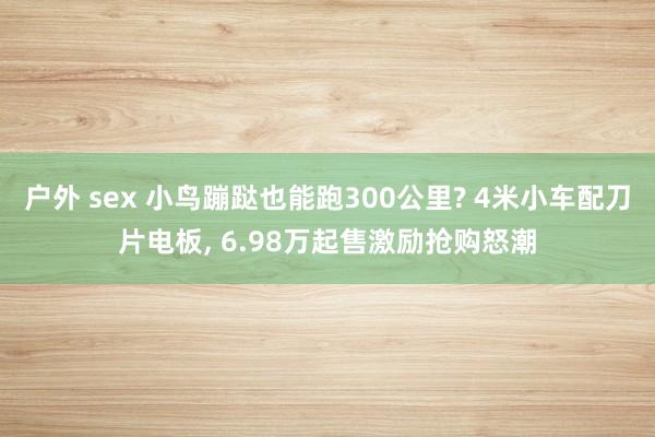 户外 sex 小鸟蹦跶也能跑300公里? 4米小车配刀片电板, 6.98万起售激励抢购怒潮