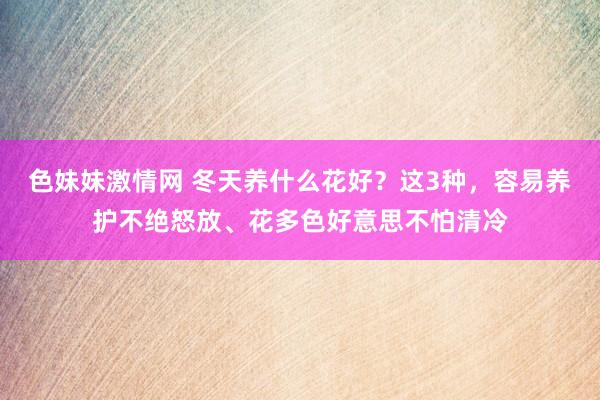 色妹妹激情网 冬天养什么花好？这3种，容易养护不绝怒放、花多色好意思不怕清冷