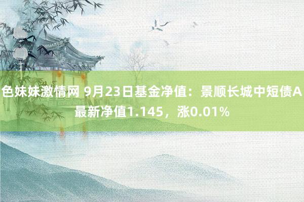 色妹妹激情网 9月23日基金净值：景顺长城中短债A最新净值1.145，涨0.01%