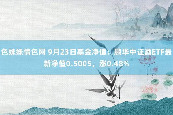 色妹妹情色网 9月23日基金净值：鹏华中证酒ETF最新净值0.5005，涨0.48%