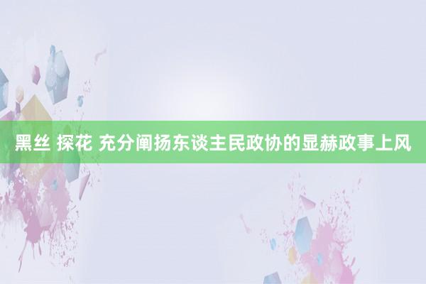 黑丝 探花 充分阐扬东谈主民政协的显赫政事上风