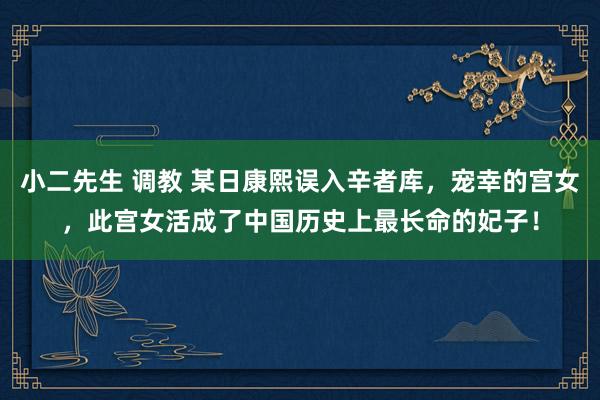 小二先生 调教 某日康熙误入辛者库，宠幸的宫女，此宫女活成了中国历史上最长命的妃子！