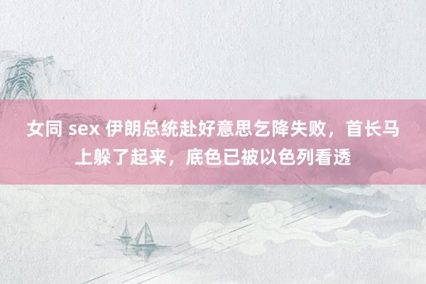 女同 sex 伊朗总统赴好意思乞降失败，首长马上躲了起来，底色已被以色列看透