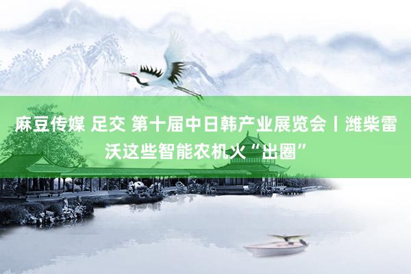 麻豆传媒 足交 第十届中日韩产业展览会丨潍柴雷沃这些智能农机火“出圈”