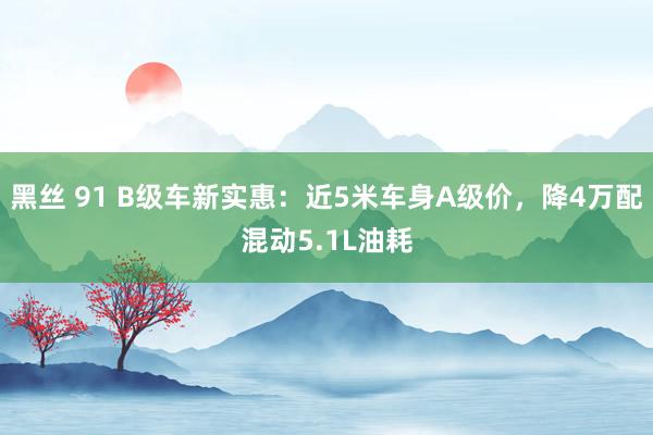 黑丝 91 B级车新实惠：近5米车身A级价，降4万配混动5.1L油耗