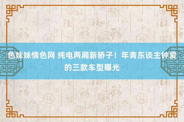 色妹妹情色网 纯电两厢新骄子！年青东谈主钟爱的三款车型曝光