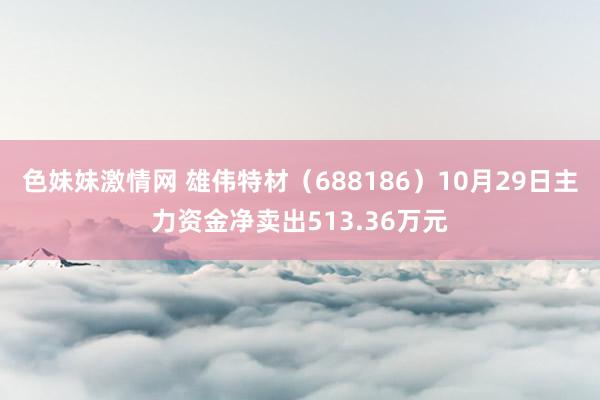 色妹妹激情网 雄伟特材（688186）10月29日主力资金净卖出513.36万元