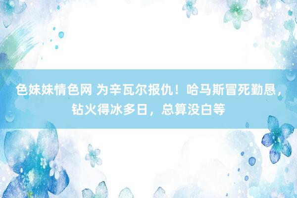 色妹妹情色网 为辛瓦尔报仇！哈马斯冒死勤恳，钻火得冰多日，总算没白等