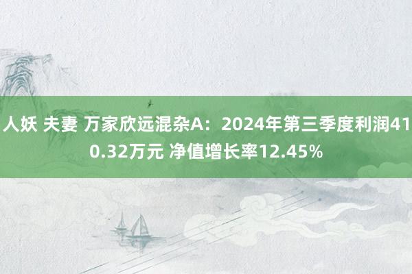 人妖 夫妻 万家欣远混杂A：2024年第三季度利润410.32万元 净值增长率12.45%