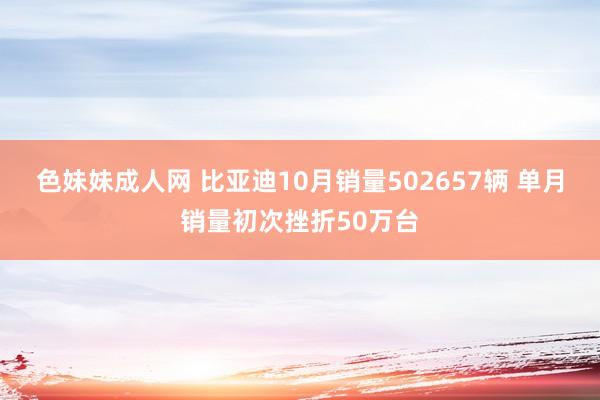 色妹妹成人网 比亚迪10月销量502657辆 单月销量初次挫折50万台