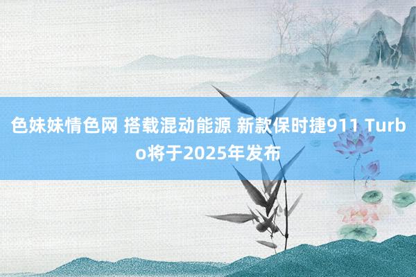 色妹妹情色网 搭载混动能源 新款保时捷911 Turbo将于2025年发布