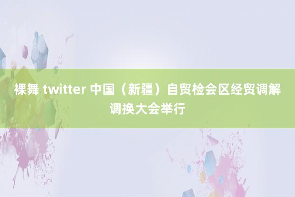 裸舞 twitter 中国（新疆）自贸检会区经贸调解调换大会举行