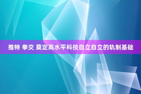 推特 拳交 奠定高水平科技自立自立的轨制基础