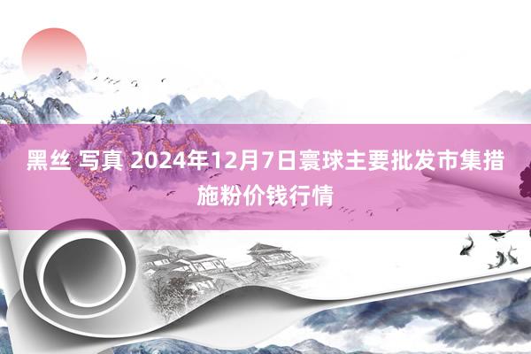 黑丝 写真 2024年12月7日寰球主要批发市集措施粉价钱行情