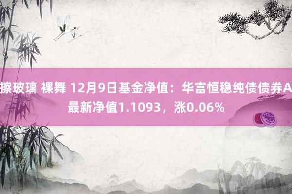 擦玻璃 裸舞 12月9日基金净值：华富恒稳纯债债券A最新净值1.1093，涨0.06%