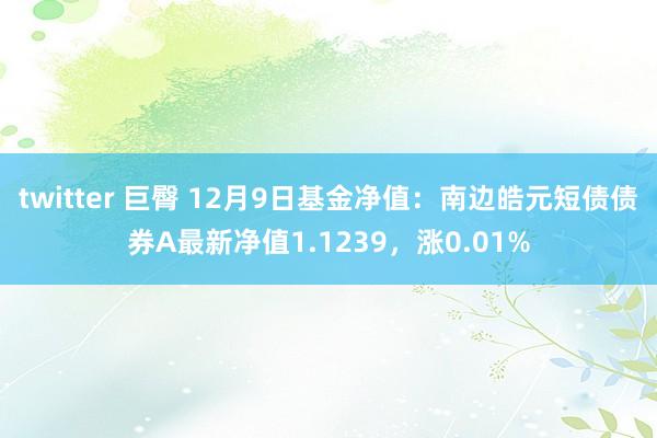 twitter 巨臀 12月9日基金净值：南边皓元短债债券A最新净值1.1239，涨0.01%