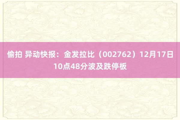 偷拍 异动快报：金发拉比（002762）12月17日10点48分波及跌停板