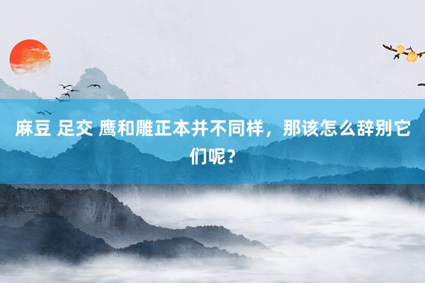 麻豆 足交 鹰和雕正本并不同样，那该怎么辞别它们呢？