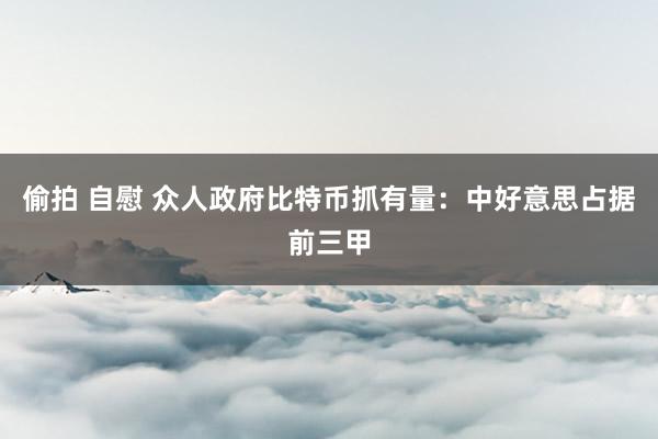 偷拍 自慰 众人政府比特币抓有量：中好意思占据前三甲