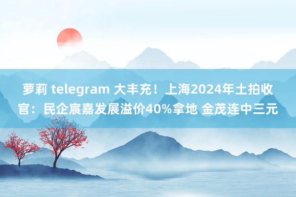 萝莉 telegram 大丰充！上海2024年土拍收官：民企宸嘉发展溢价40%拿地 金茂连中三元