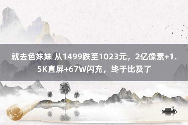 就去色妹妹 从1499跌至1023元，2亿像素+1.5K直屏+67W闪充，终于比及了