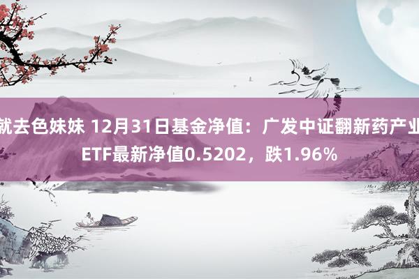 就去色妹妹 12月31日基金净值：广发中证翻新药产业ETF最新净值0.5202，跌1.96%