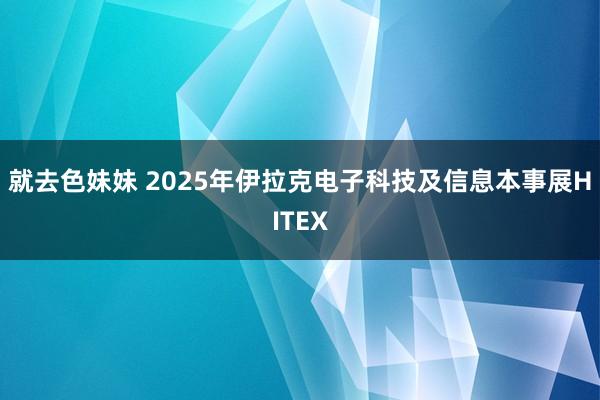 就去色妹妹 2025年伊拉克电子科技及信息本事展HITEX