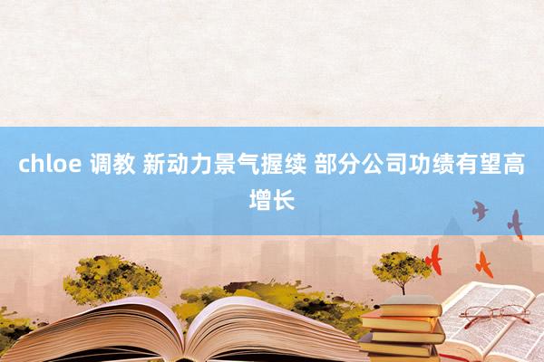 chloe 调教 新动力景气握续 部分公司功绩有望高增长