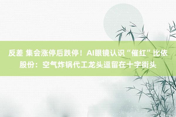 反差 集会涨停后跌停！AI眼镜认识“催红”比依股份：空气炸锅代工龙头逗留在十字街头