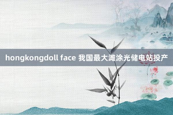 hongkongdoll face 我国最大滩涂光储电站投产