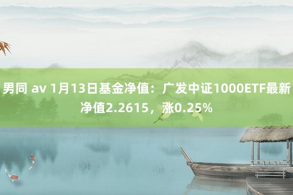 男同 av 1月13日基金净值：广发中证1000ETF最新净值2.2615，涨0.25%