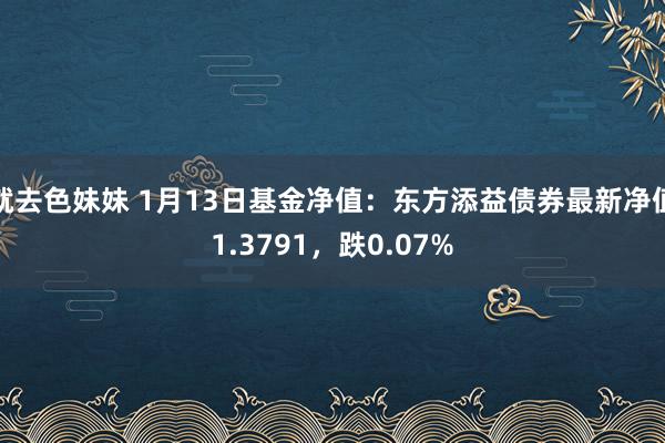 就去色妹妹 1月13日基金净值：东方添益债券最新净值1.3791，跌0.07%