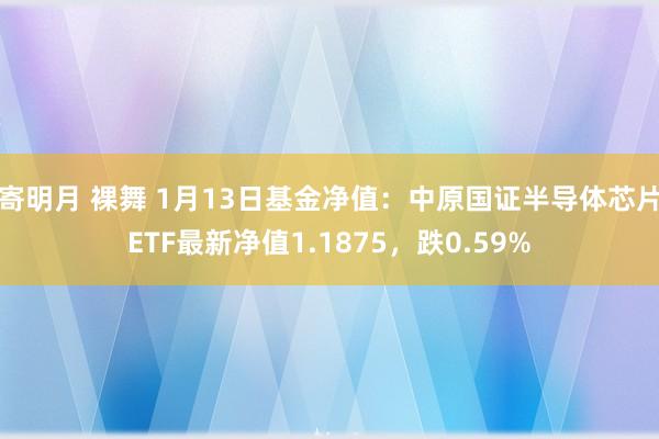 寄明月 裸舞 1月13日基金净值：中原国证半导体芯片ETF最新净值1.1875，跌0.59%