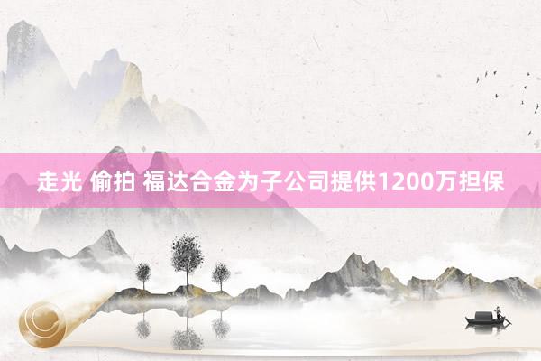 走光 偷拍 福达合金为子公司提供1200万担保