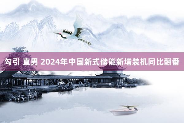 勾引 直男 2024年中国新式储能新增装机同比翻番